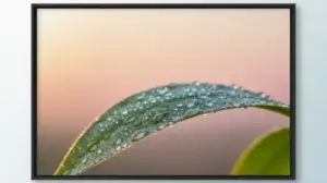 Cytaty Optymistyczne Cytaty optymistyczne